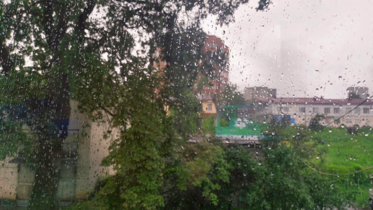    9 ноября в Курской области ожидаются дожди и сильный ветер