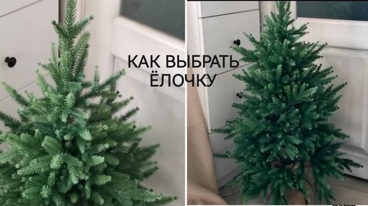 Ёлочка маленькая, да удаленькая🌲На что обратить внимание при выборе