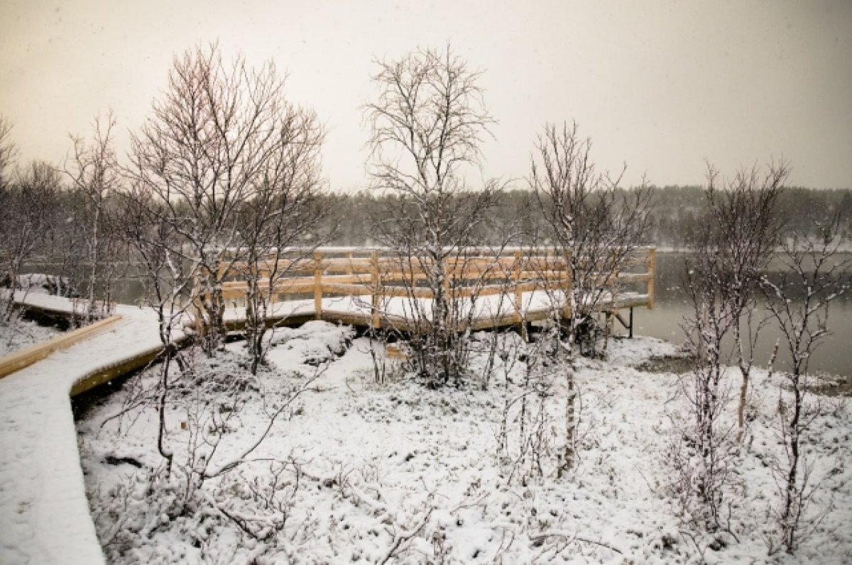   Благоустройство экотропы «Беличий хвост» в Мурманске завершается