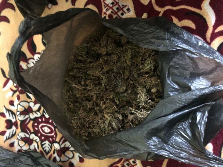    Жителю Светлого грозит до 10 лет колонии за хранение наркотиков Марина Шарт