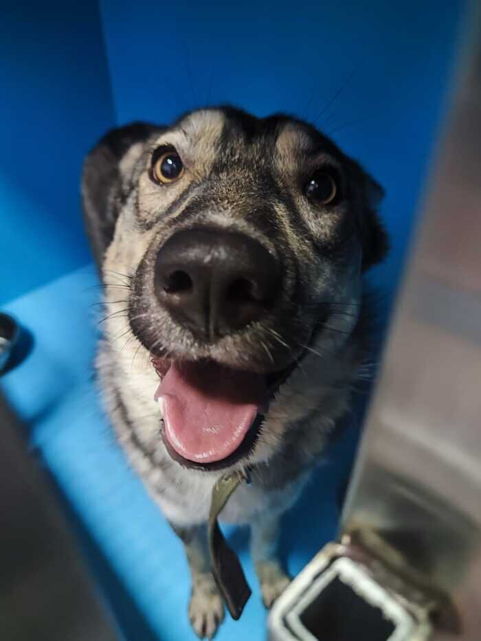 Листайте вправо, чтобы увидеть больше изображений