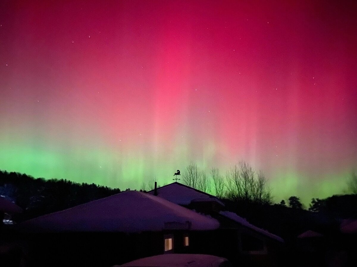 Фото взяты из ВК, группа ЧП Великий Новгород.  