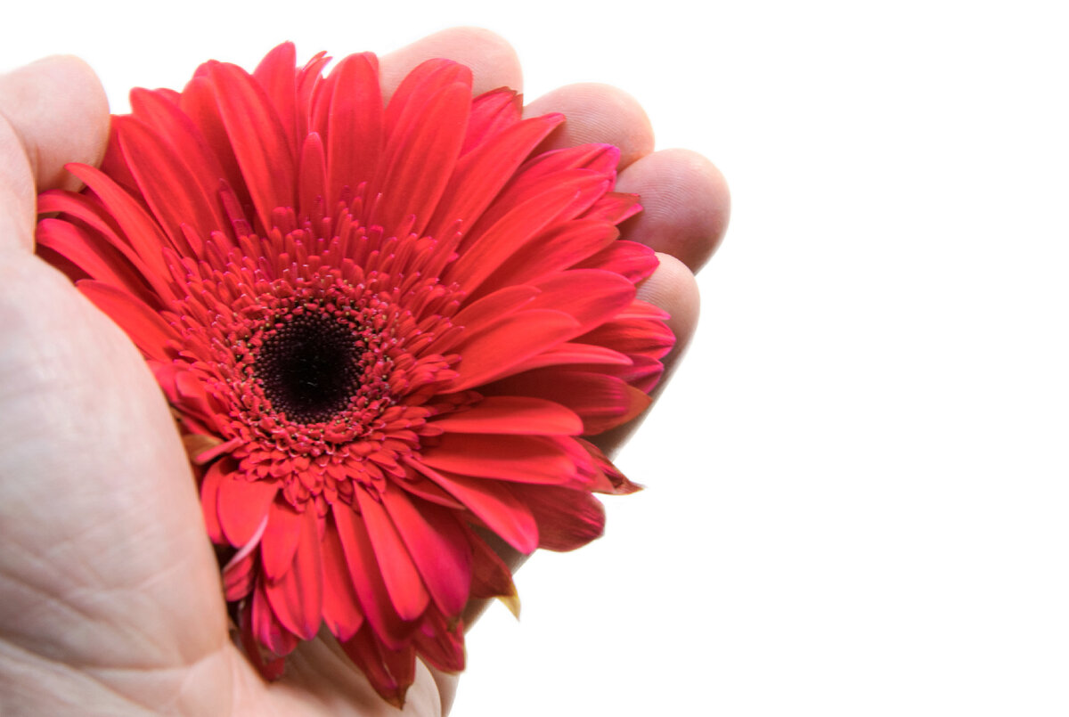 Татьяна Кирьянова, как похудеть к Новому году. Разбуди в себе Женщину.