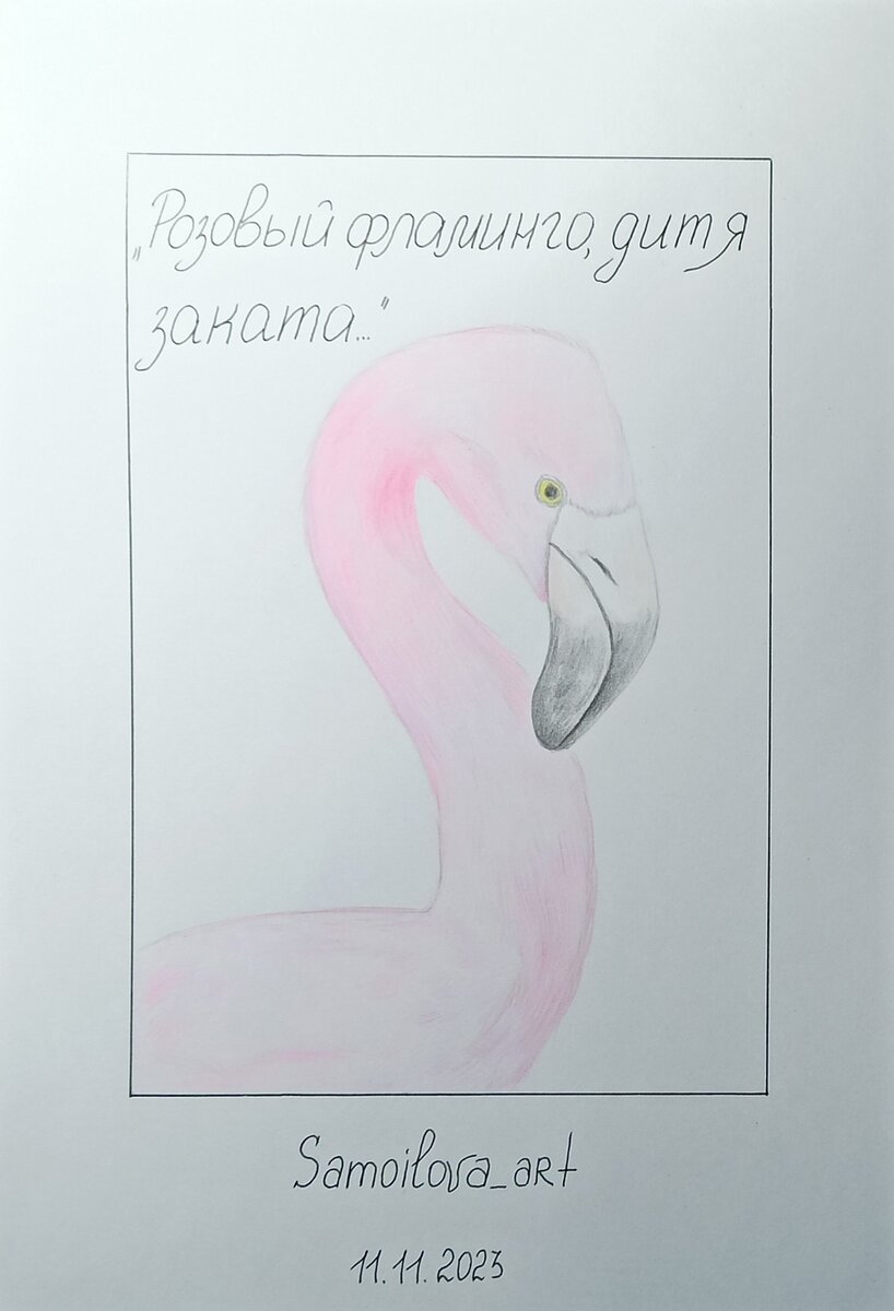 11 ноября 2023