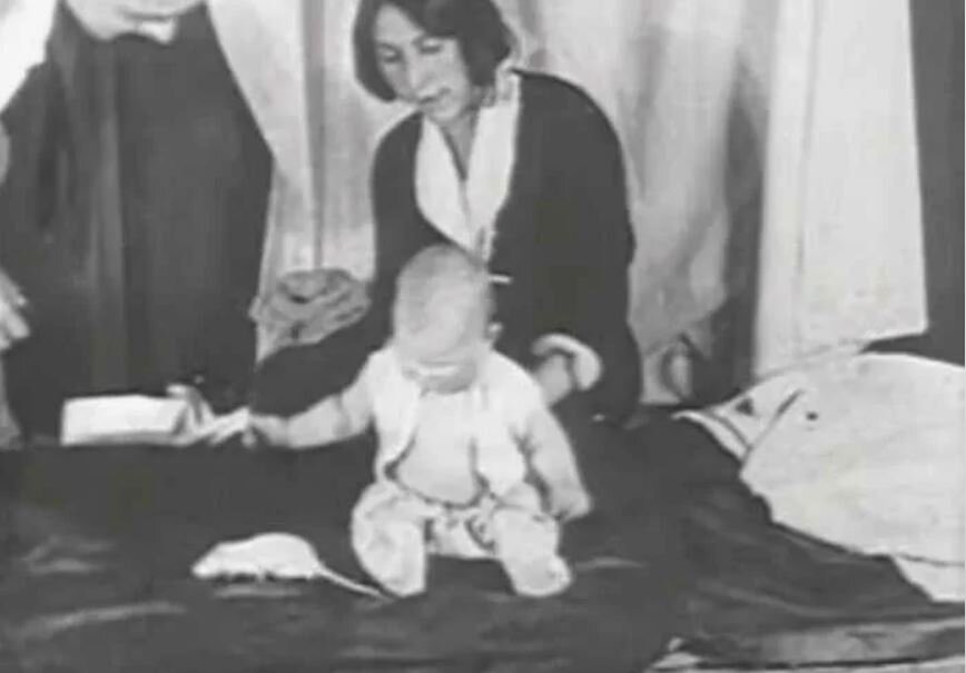 Эксперименты с новорожденными. Джон уотсон эксперимент. Опыт с маленьким альбертом. Эксперименты с новорожденными. Джон уотсон и розали рейнер.