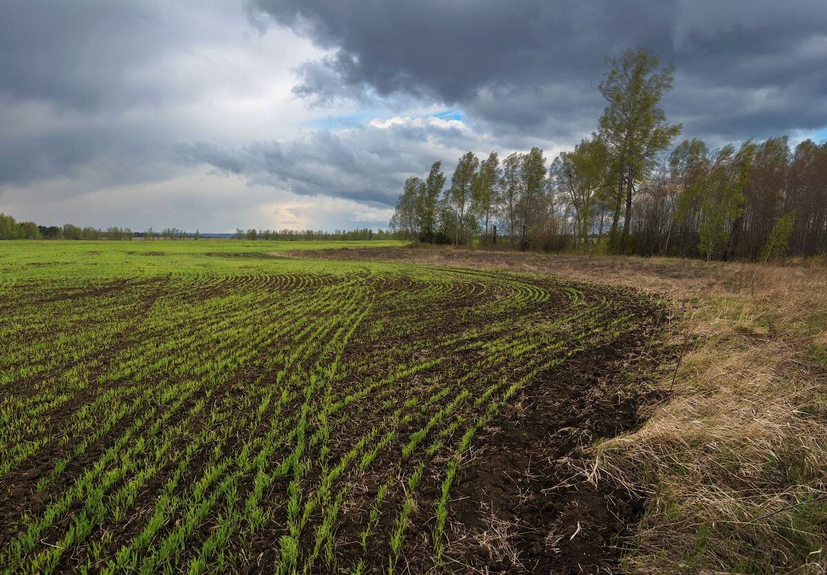 Картинки земля поля. Пахотные поля Белоруссия. Поле пашня. Поле весной. Пашня весной.