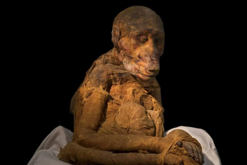     Фото: Egypt Museum