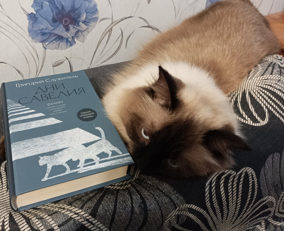 Ну, а кому же представлять книгу о жизни котов, как не тому, кто знает её буквально изнутри, как не Джессике, которой на фоне этой не очень весёлой книги "взгрустнулось". 