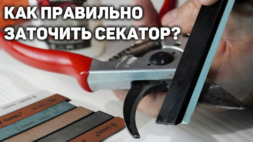 Как правильно заточить секатор? ✂️