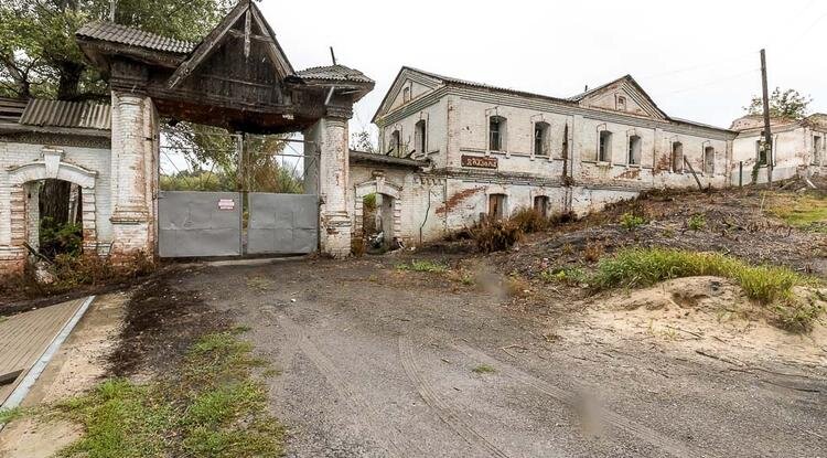 Фото: Павел Колядин