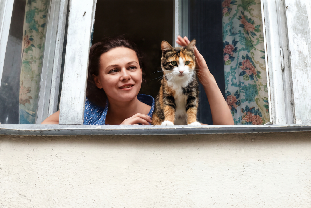 С котом Федотом