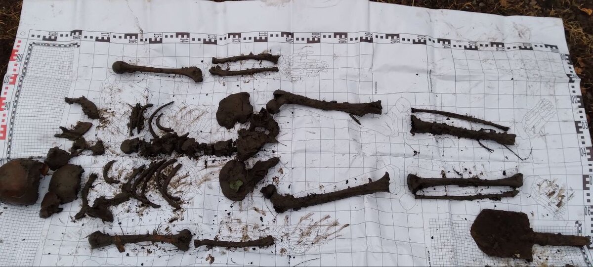      Фото: из группы поисково-спасательного отряда «Патриот»