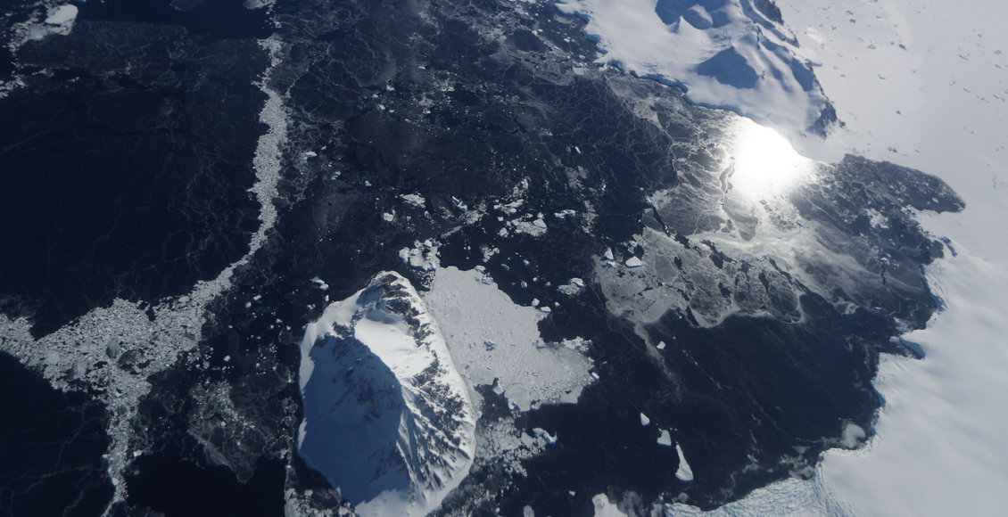    Фото: из открытых источников