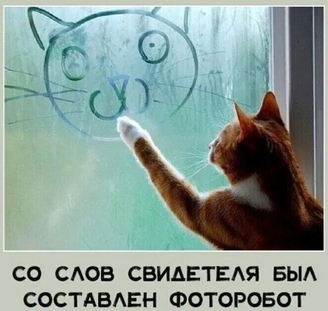 иллюстрация из яндекс картинки.