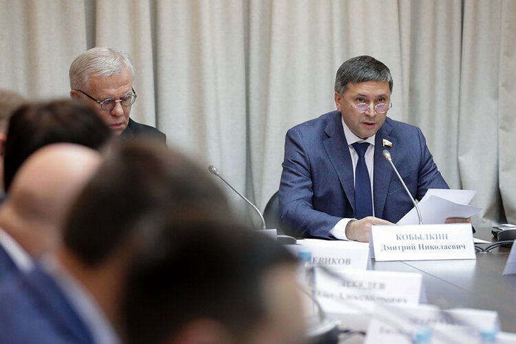    Открывая встречу, глава комитета ГД по экологии, бывший руководитель минприроды РФ Дмитрий Кобылкин привел пять шагов, призванных исправить ситуацию с обмелением Фото: duma.gov.ru