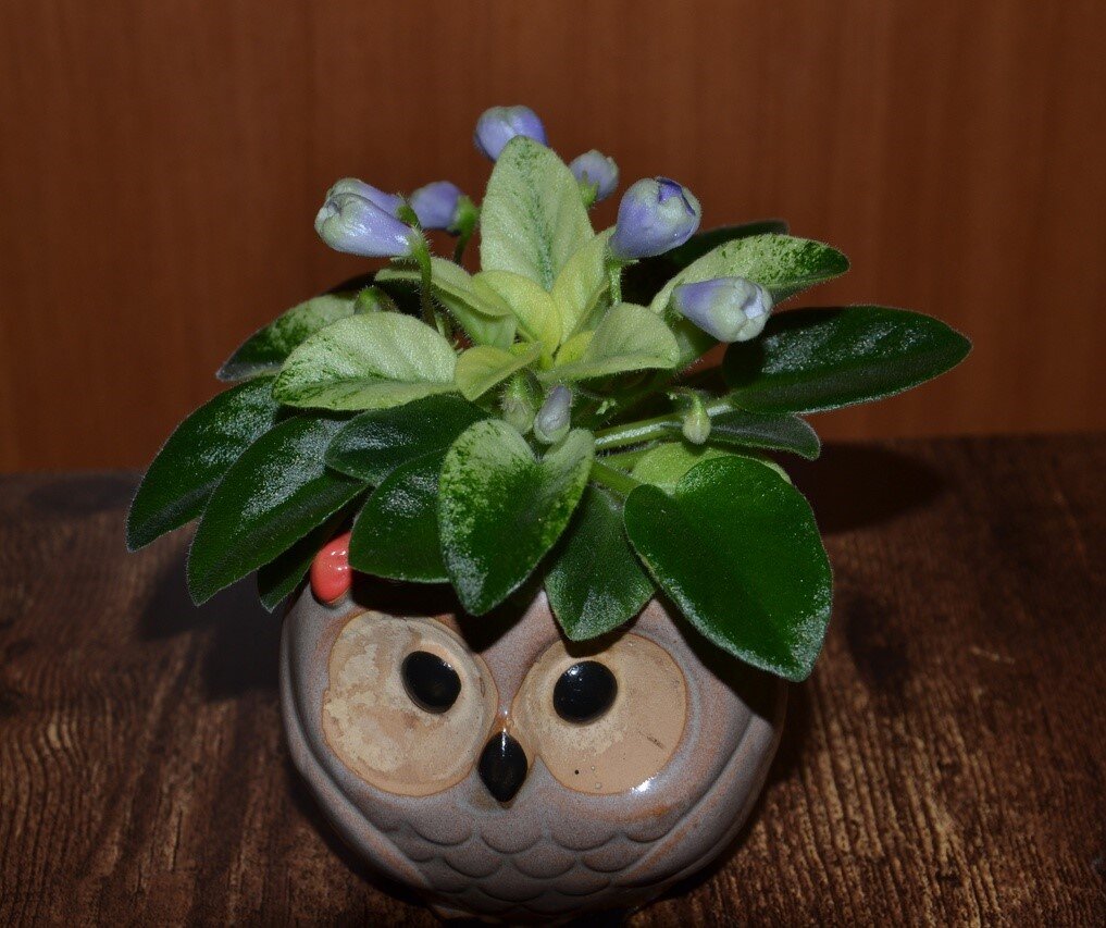 фото из моего архива