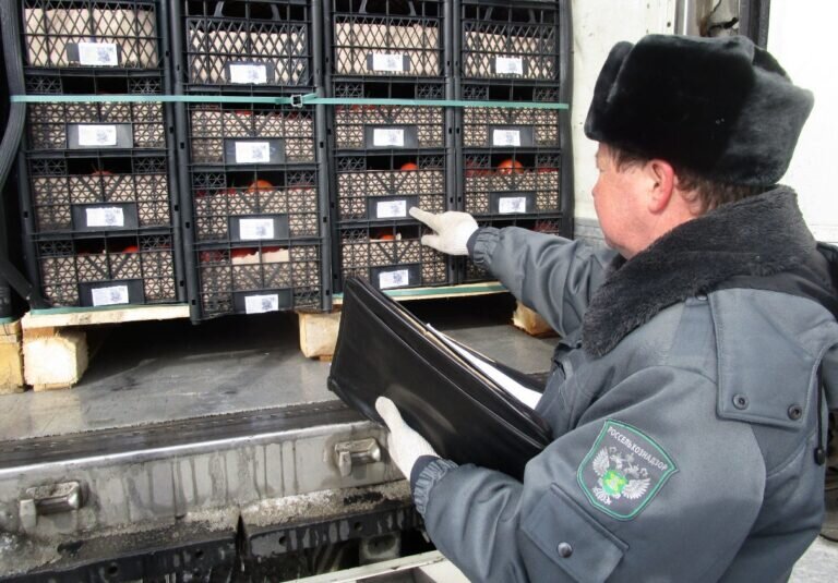    В Оренбургской области обнаружили зараженные помидоры из Узбекистана Кристина Просвиркина