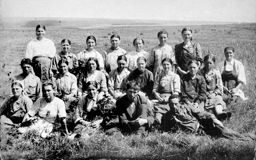 Полеводческая бригада.  С.Ямская Слобода, Орловщина, 1950-ые г.г. / фото из интернета