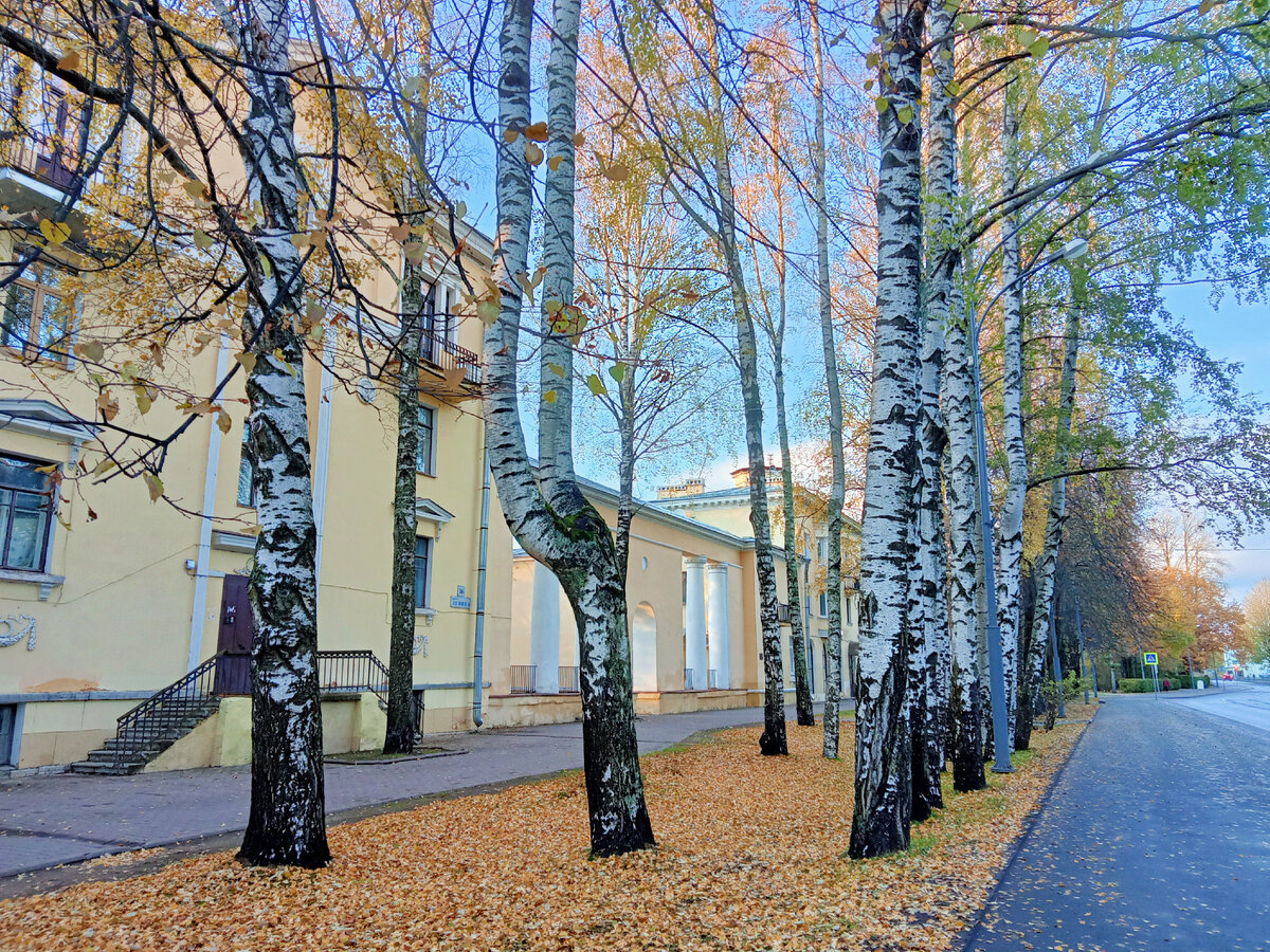 Проспект Ленина в Зеленогорске. Фото автора