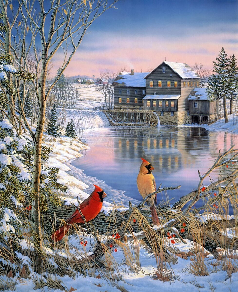 Из интернета 