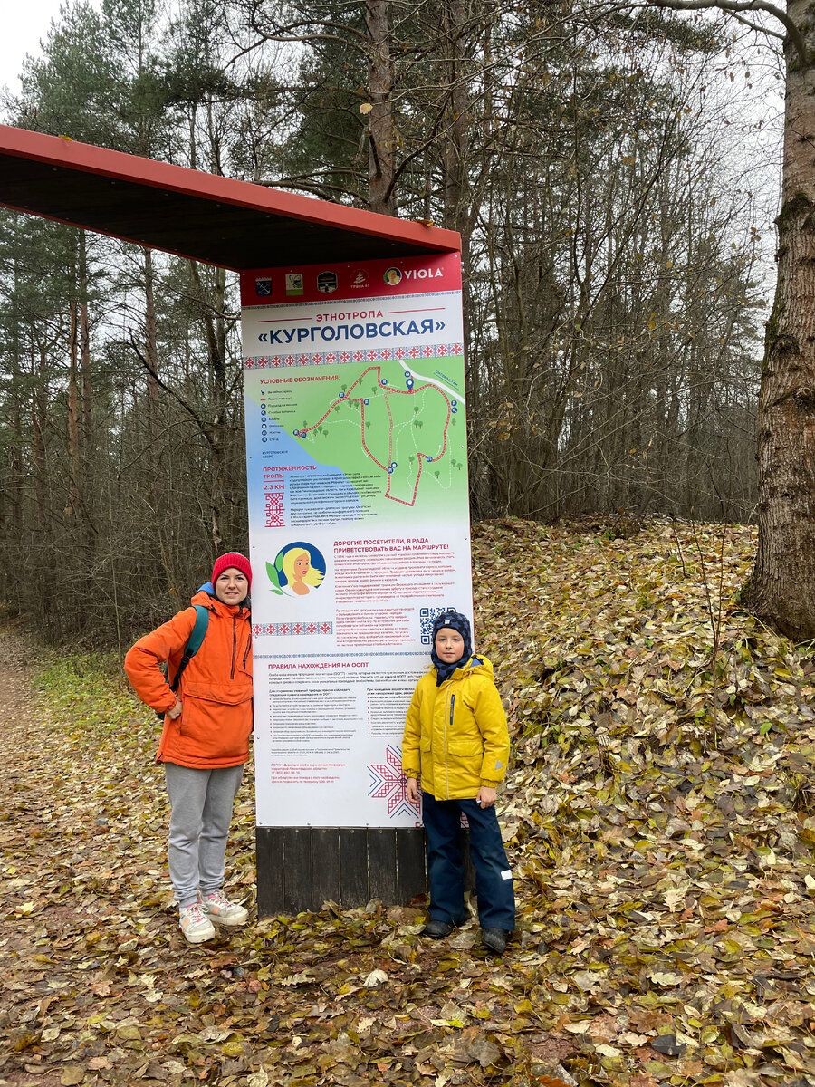 Курголовская экотропа в Токсово