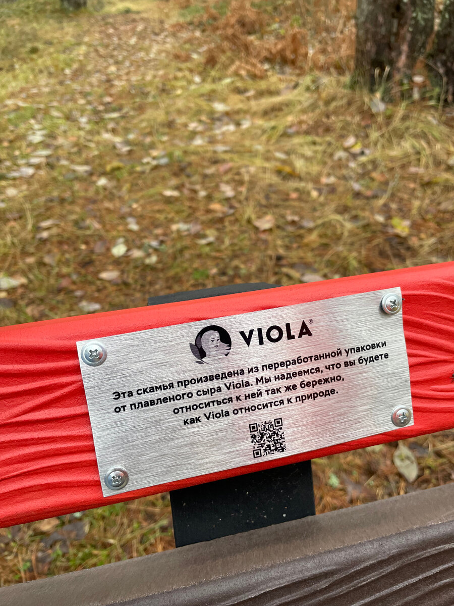 Экотропа и экоскамейки на Курголовской тропе