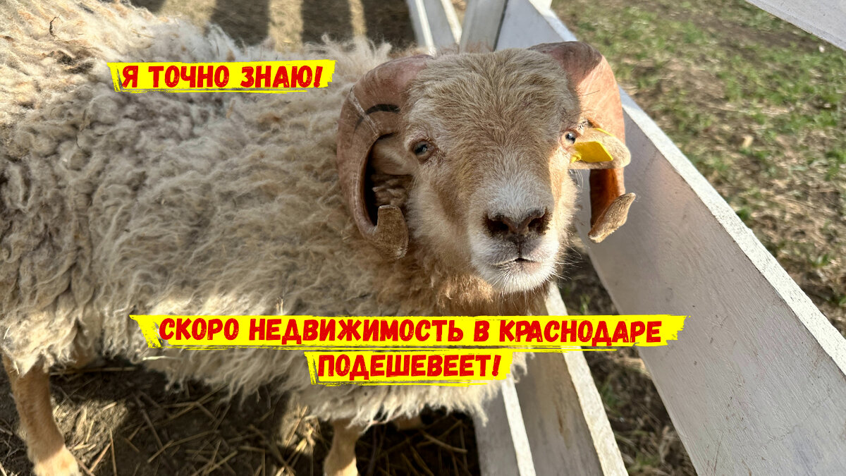 Наверное так я вижу)