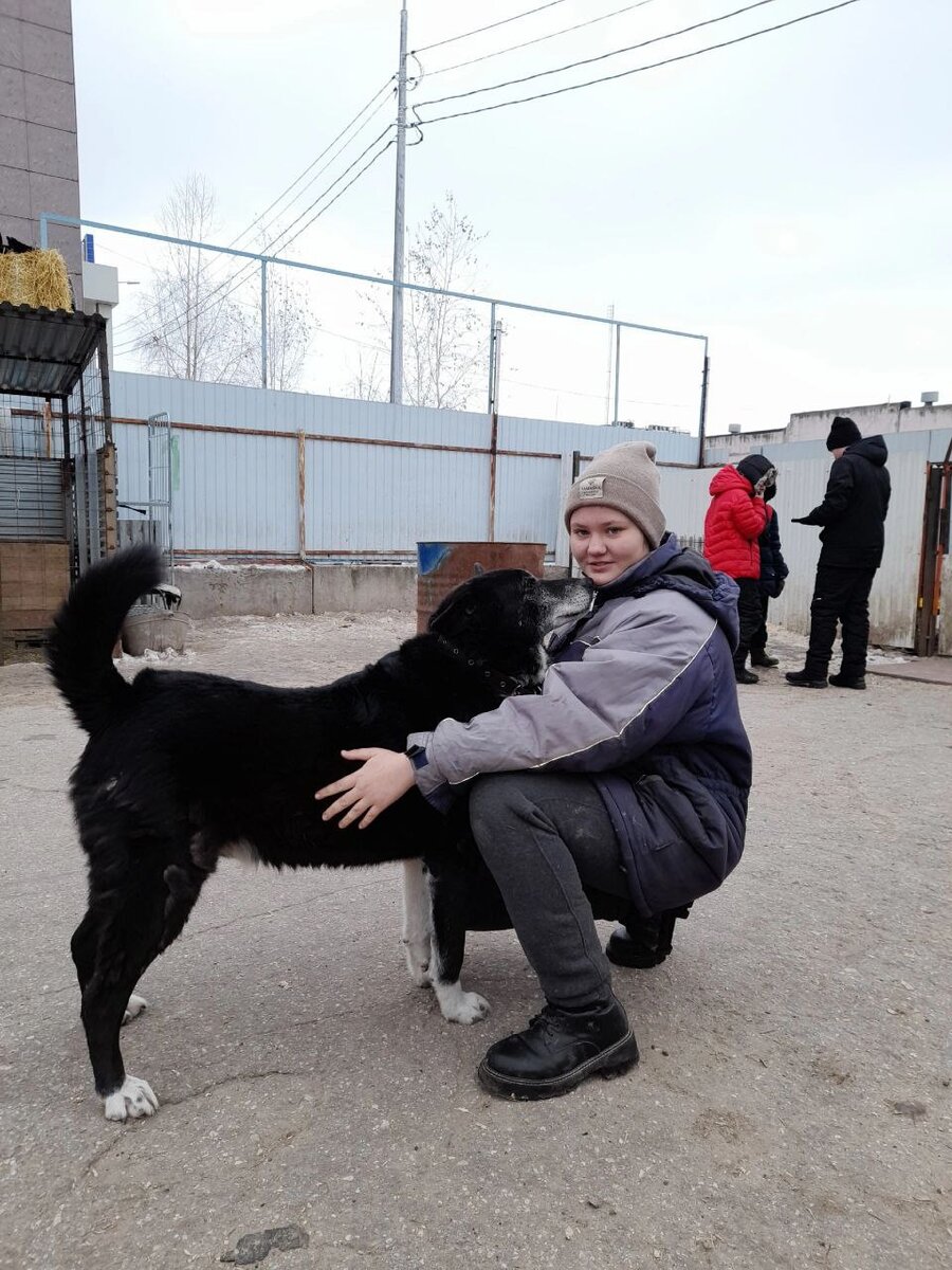 Сириус гуляет отдельно ото всех, с некоторыми кобелями он ведёт себя агрессивно. 