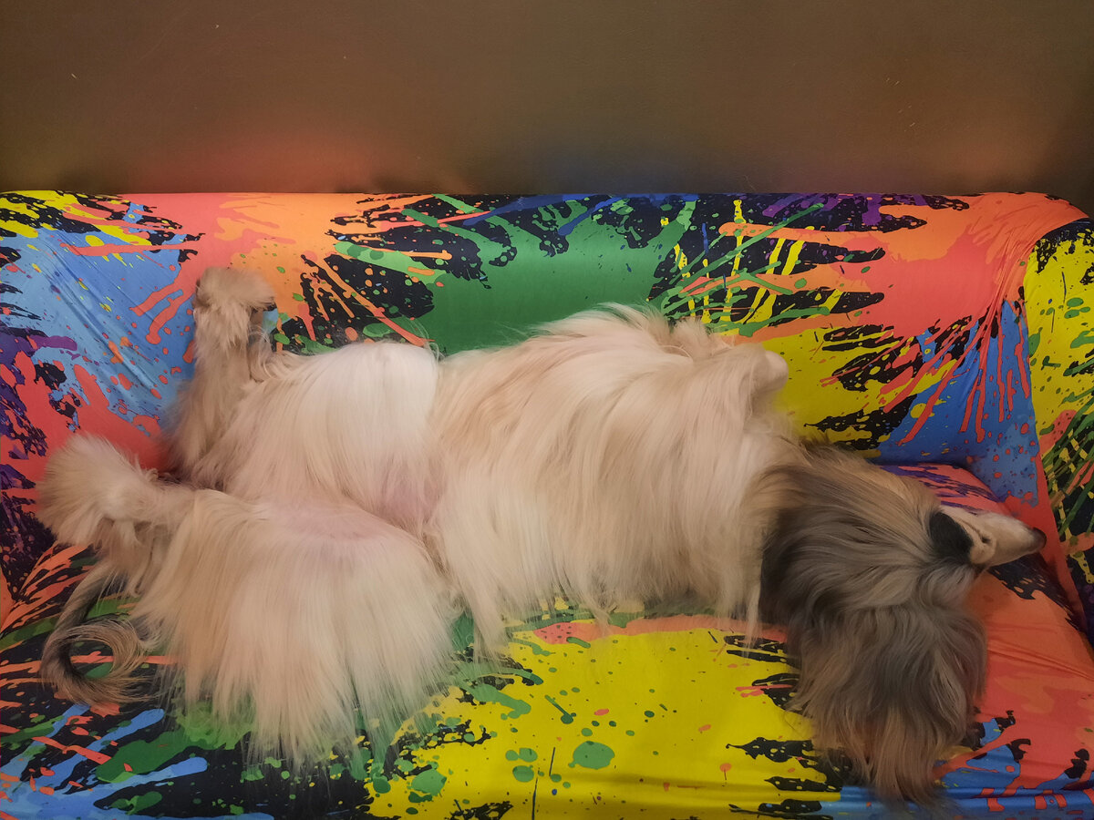 Мое "алиментное" счастье