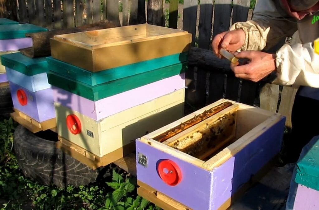 Создание отводка на плодной матке.