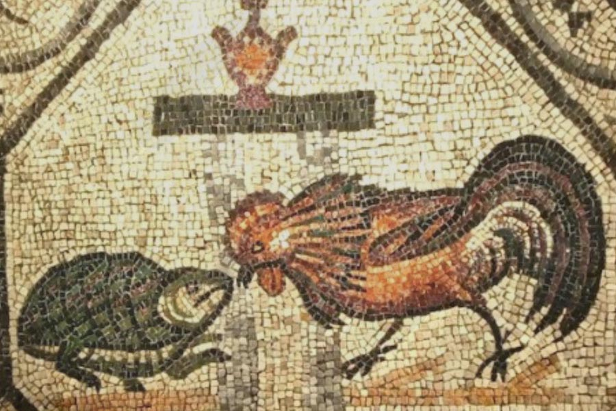 Петух и черепаха. Аллегория борьбы света с тьмой. Начало IV в. Напольная мозаика Базилика Санта-Мария-Ассунта, Аквилея