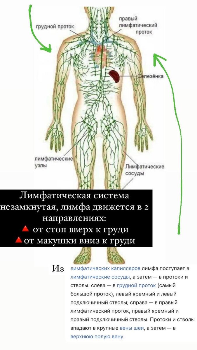 Лайфхаки для красивого декольте – советы бельевого стилиста | Блог