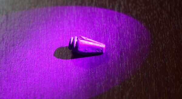    Фото: uniyar.ac.ru