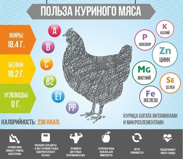 Курица: полезный продукт в любом рационе