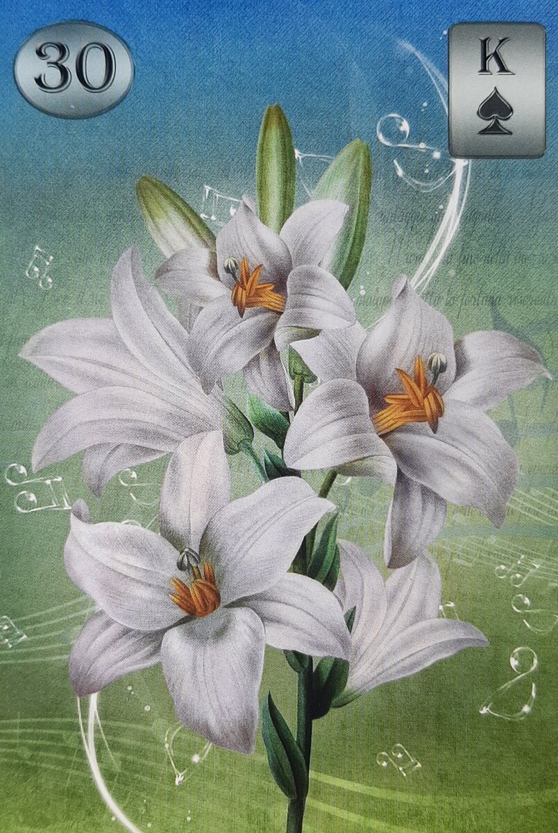 Thelema Lenormand. Renata Lechner