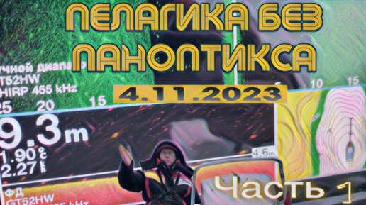 ПЕЛАГИКА БЕЗ ПАНОПТИКСА! КАК ПРАВИЛЬНО ВСТАТЬ НА ЭЛЕКТРОЯКОРЬ. СПОСОБ ПРОВОДКИ. 4.11.2023. ЧАСТЬ 1.