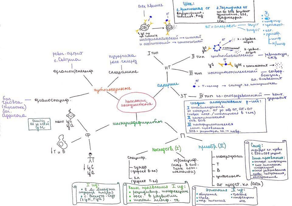 Пример кластера на тему «Патология иммунитета»
