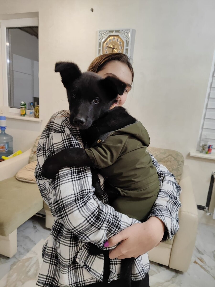 На ручках у хозяйки.