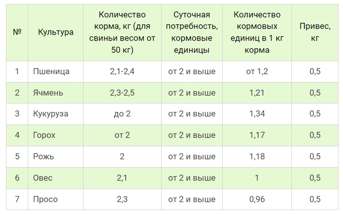 Нормы кормления свиней концентрированными кормами