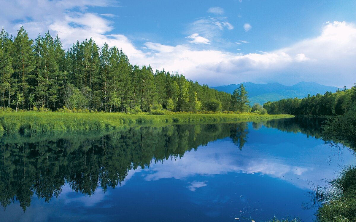 Фото: https://w.forfun.com/fetch/6a/6a9cfeab9732727dab6941403b130d46.jpeg