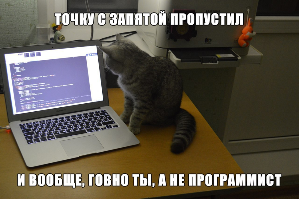 Кот разработчик
