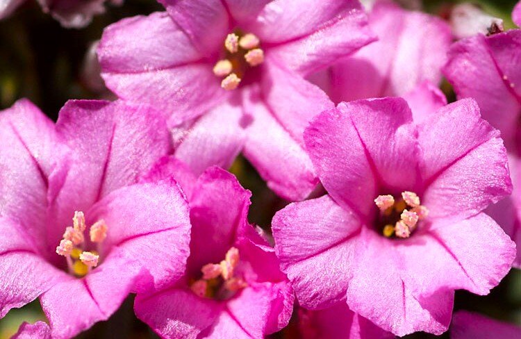 Листайте галерею для просмотра.