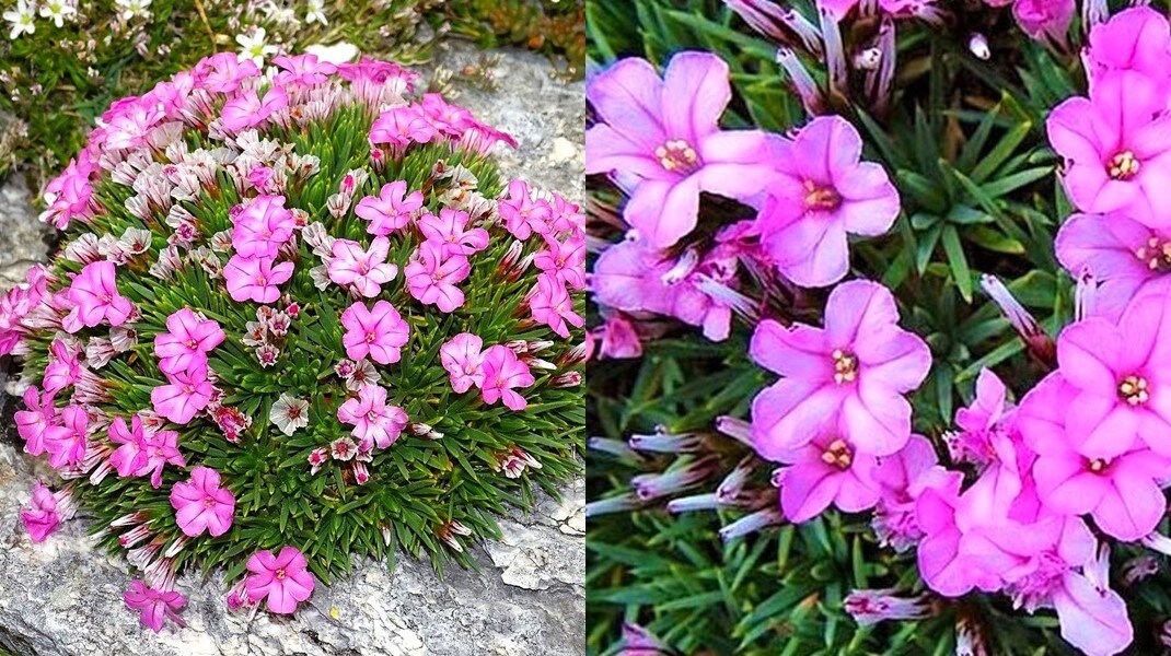 Листайте галерею для просмотра.