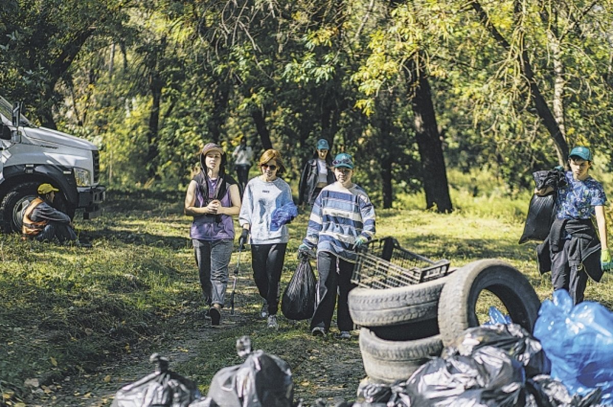    Ростовчане регулярно убирают мусор в роще на левом берегу Дона.