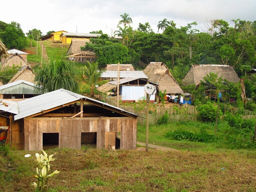 Падежи. Падежи имен существительных. В деревне падеж. Падежи жили в деревне. Падежи русского языка.
