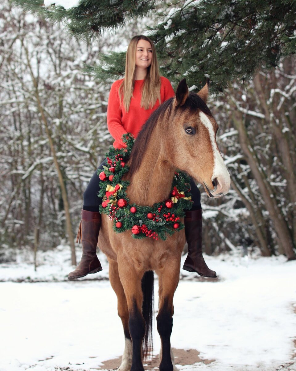 Без седла можно тренироваться ездить вначале на шагу, а потом постепенно добавляя небольшие репризы рыси.