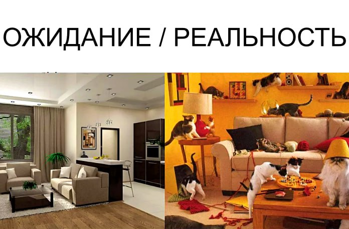 Изображение - микс из открытых источников интернета