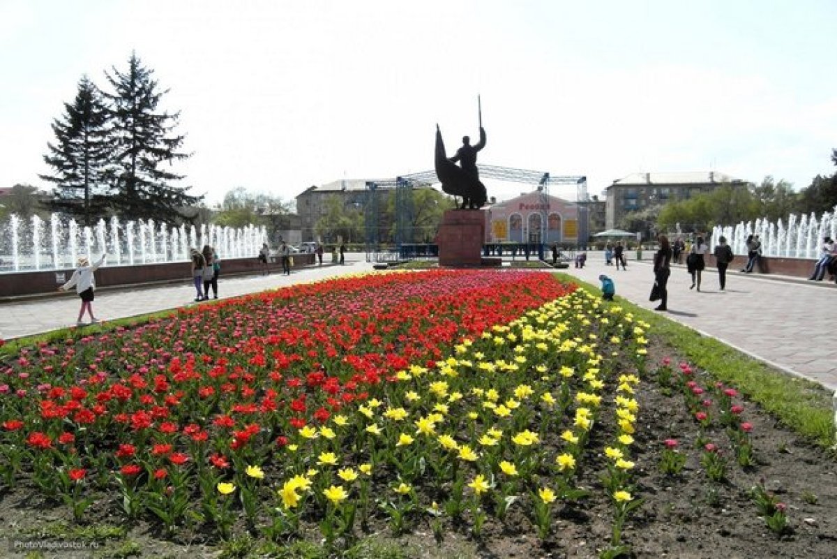    Президент Путин поручил правительству обратить внимание на Уссурийск