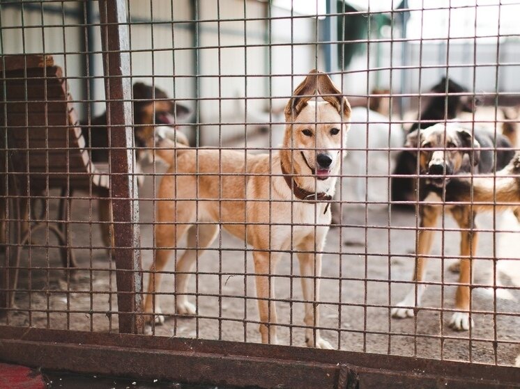     фото вк плохие новости Россия