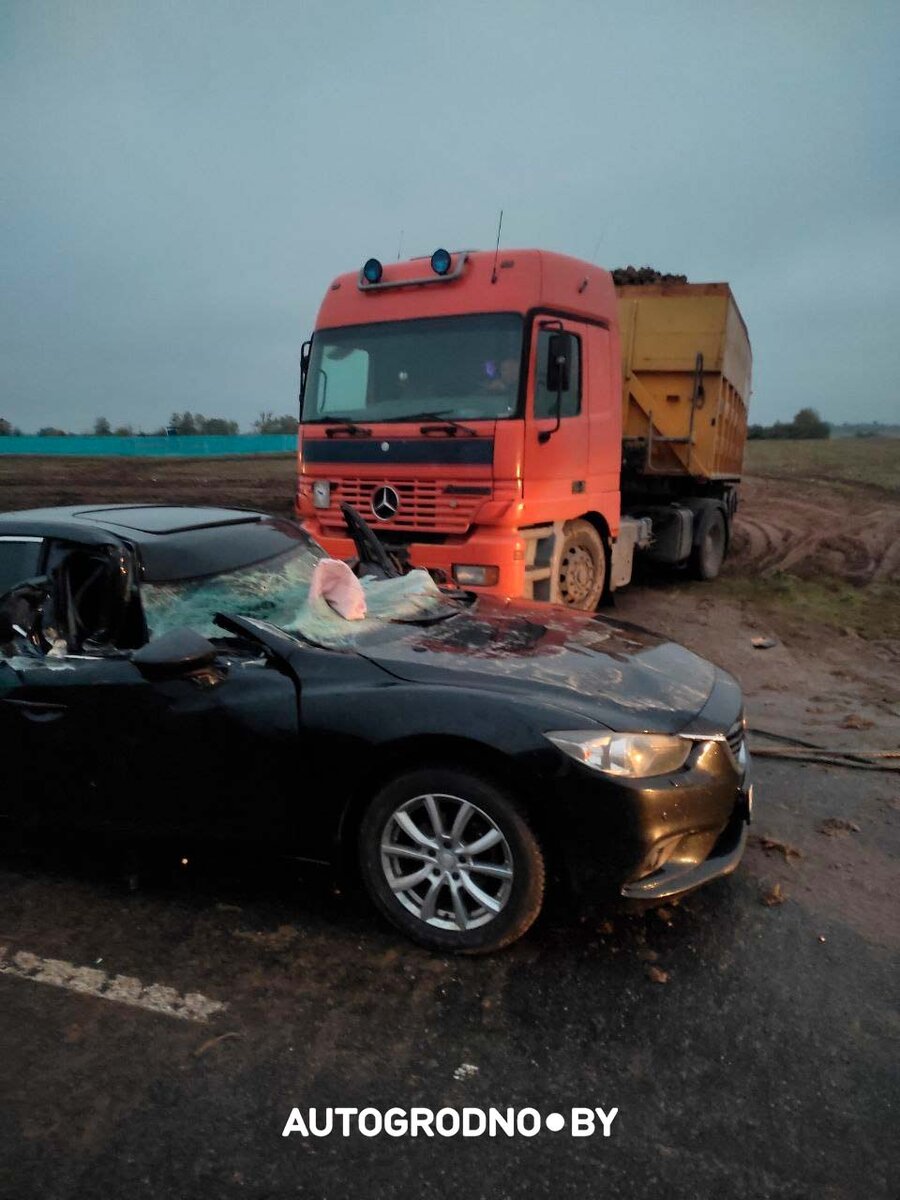 Под Щучином Mazda врезалась в буксировочный трос – водитель разыскивает  очевидцев | Новости Гродно s13.ru | Дзен